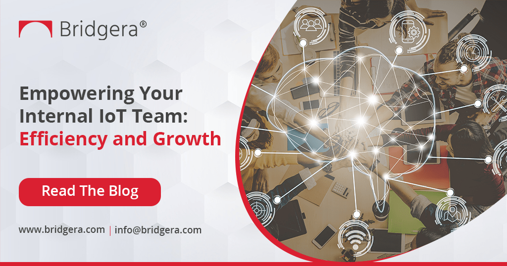 Empowering Your Internal IoT Team-Efficiency and Growth